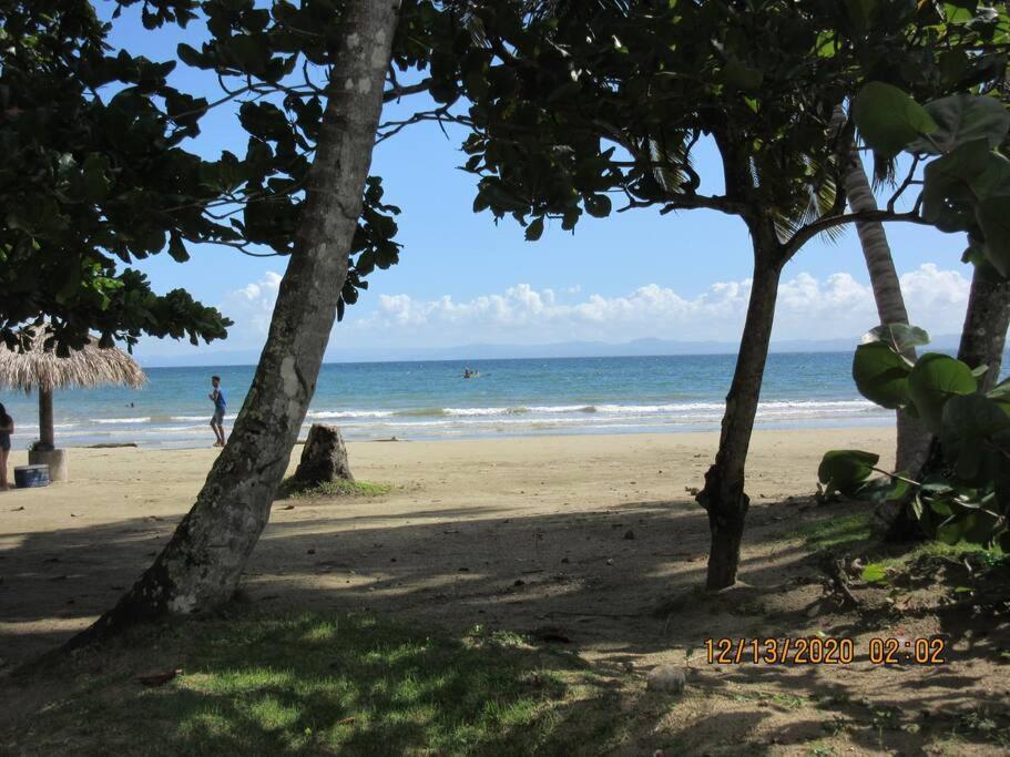 Pelicano Tropical Paraiso