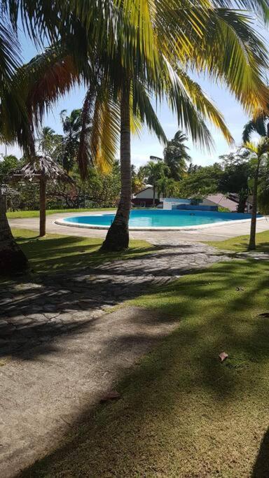 Pelicano Tropical Paraiso * Samana