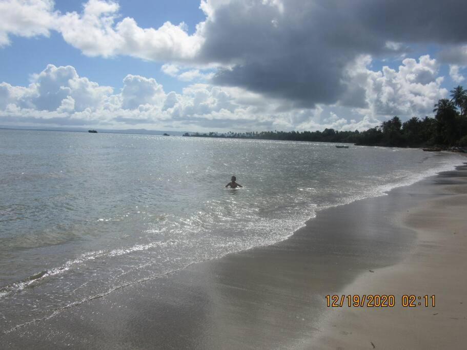 Pelicano Tropical Paraiso *