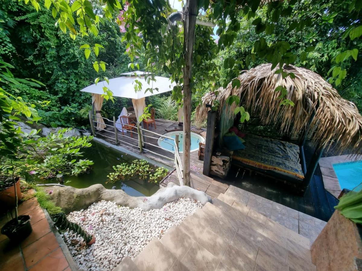 Racoon Guest house Pointe-a-Pitre (Grande-Terre)