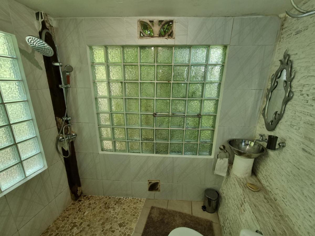 Racoon Guest house