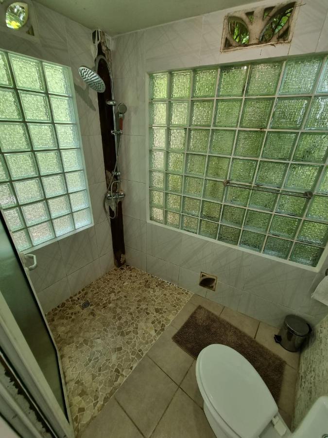 Guest house Racoon Pointe-a-Pitre (Grande-Terre)