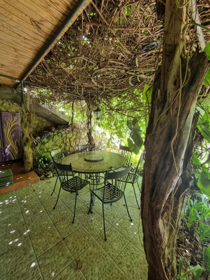 Guest house Racoon Pointe-a-Pitre (Grande-Terre)