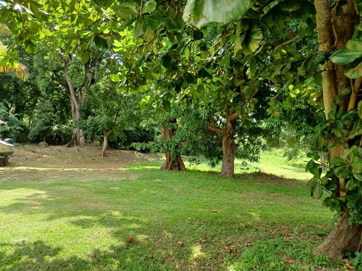 Papaye Holiday home