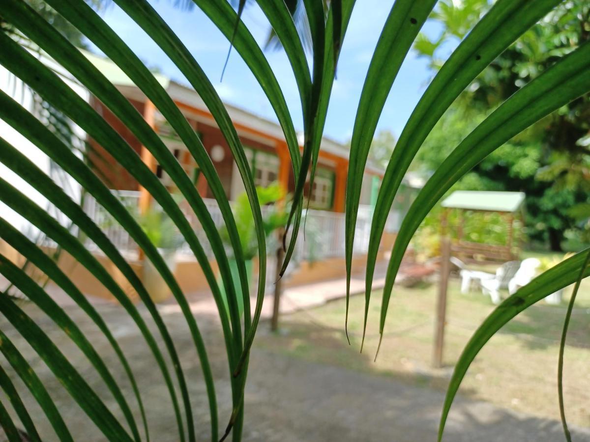 Papaye *