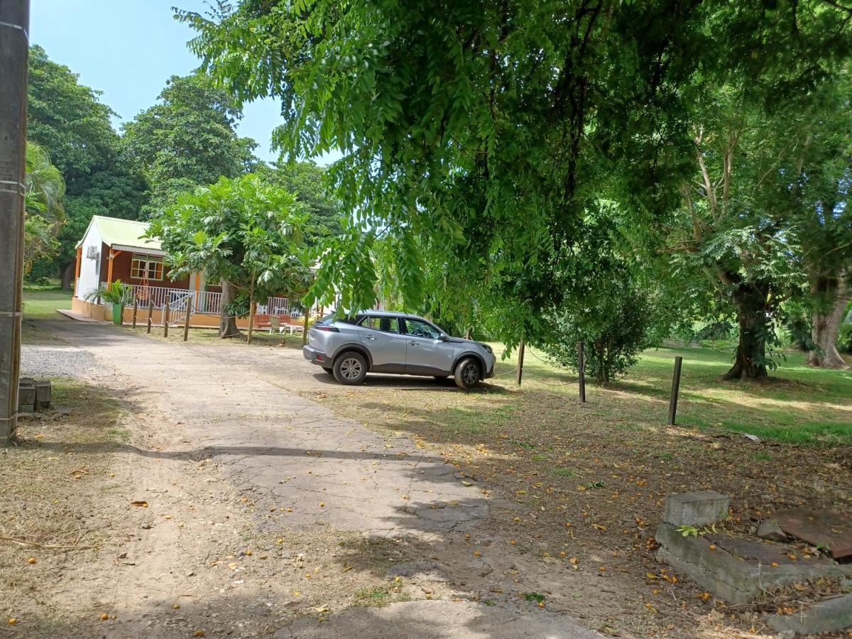 Papaye Pointe-Noire