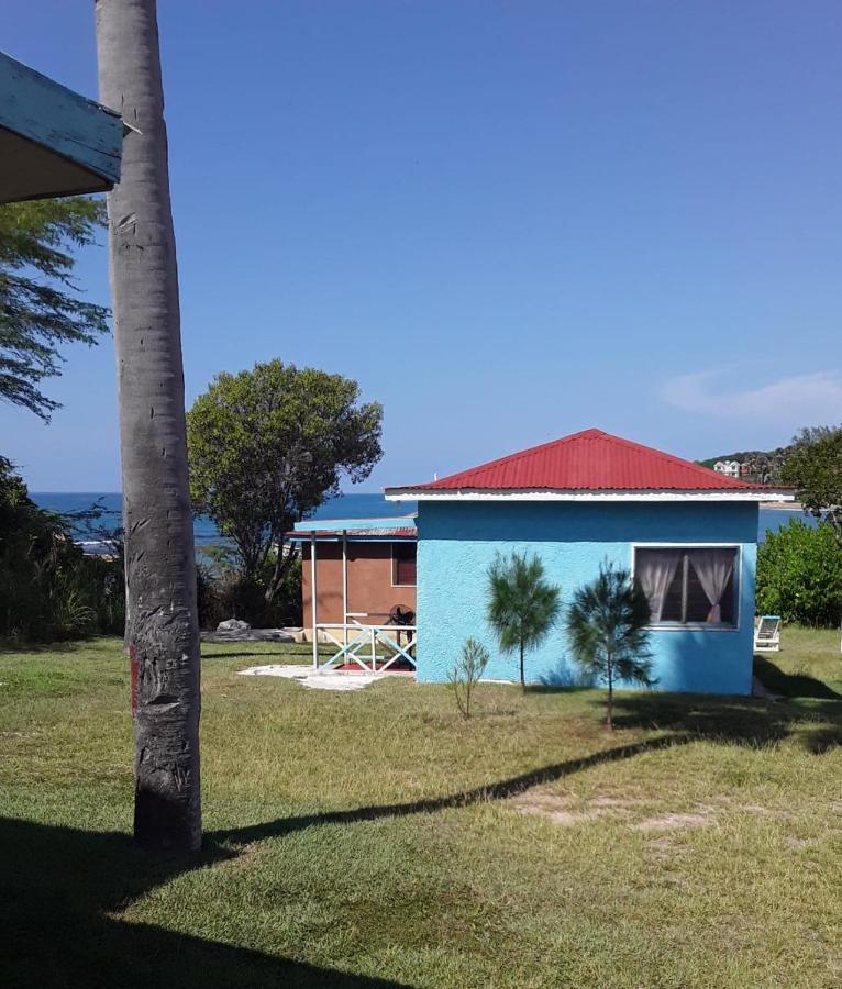 Guest house Waikiki Treasure Beach