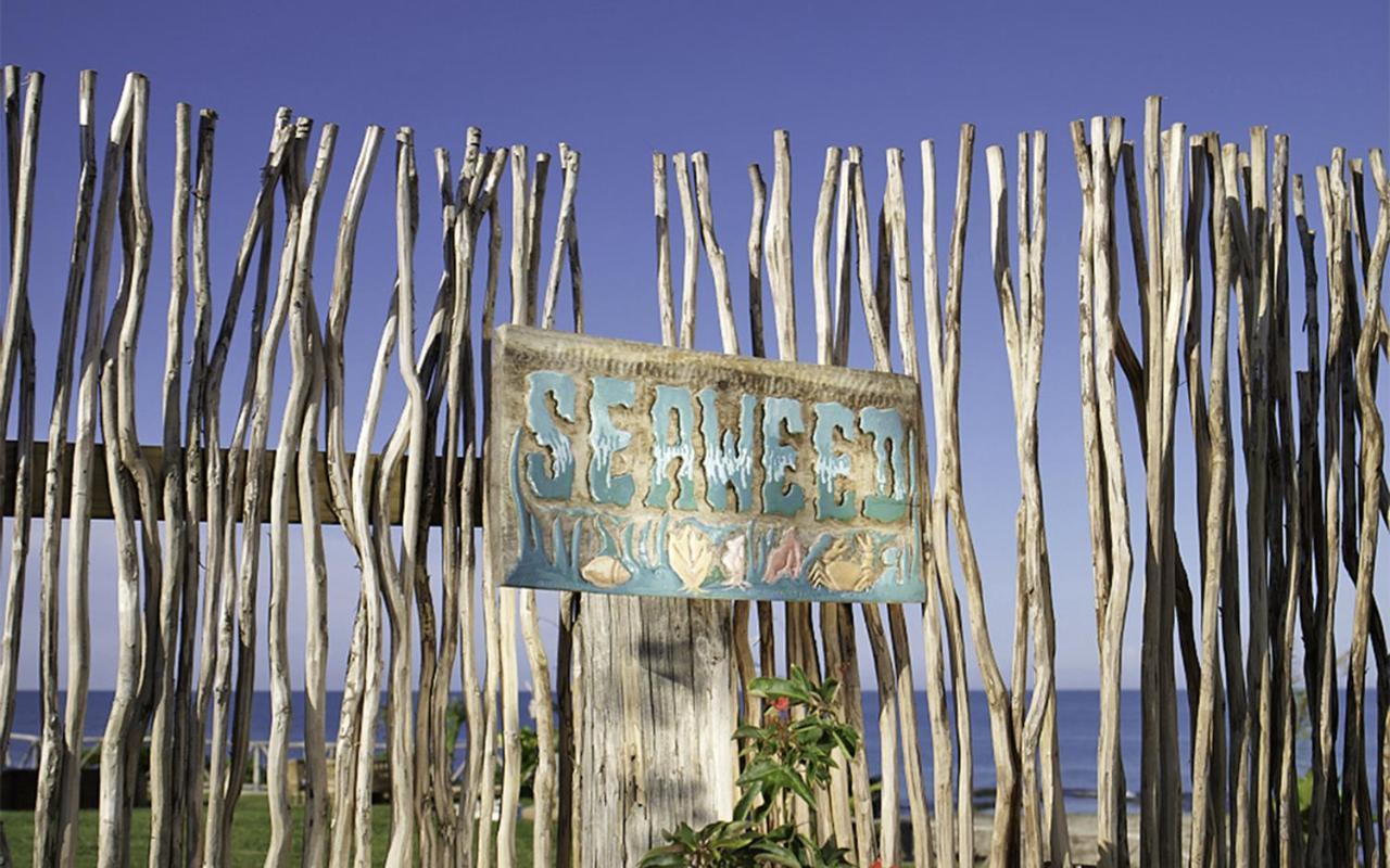 Jakes Hotel Treasure Beach