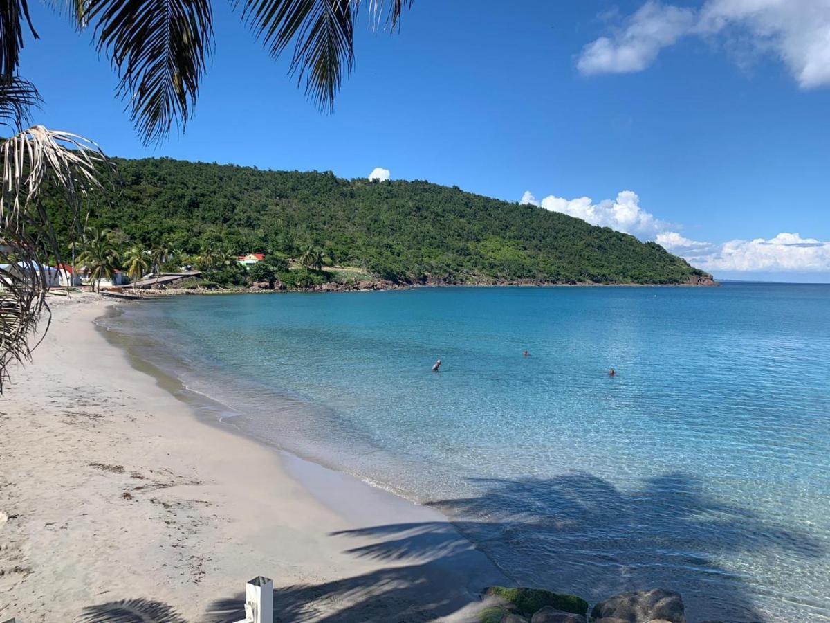 Ti Kaz Anoli En Bois Avec Vue Sur La Baie Holiday home *