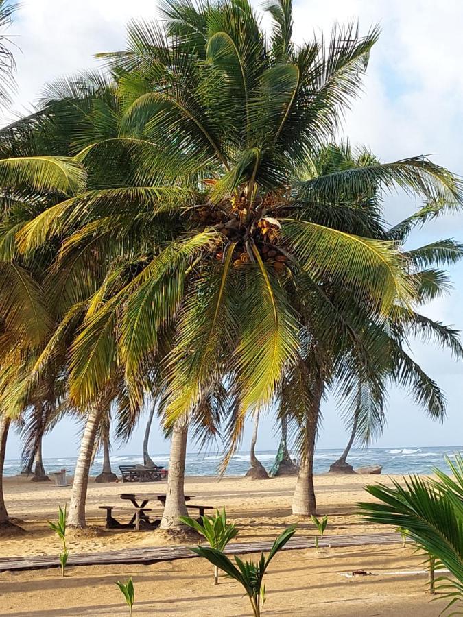 Lodge Puntacana Lavacama Costa Arrecife By Aa Crypto Group *