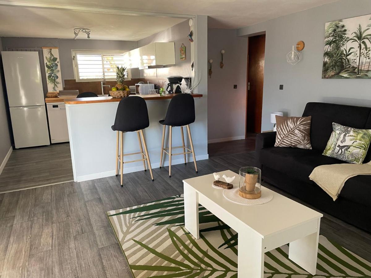 Apartment Vue Mer, Pilote