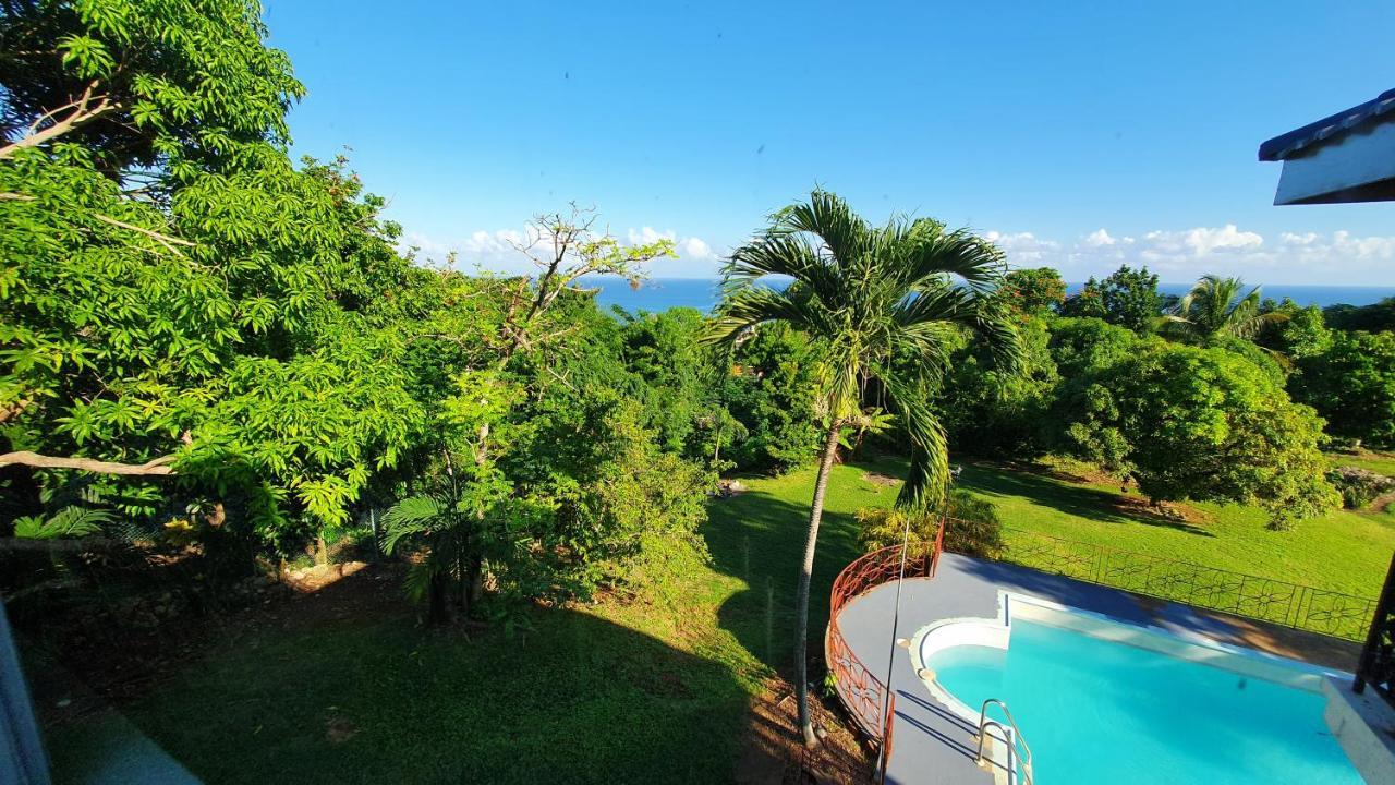 Dianna - Entire Villa, Roof Terrace, Pool, Garden, Sea Views Near Dunn's River Villa