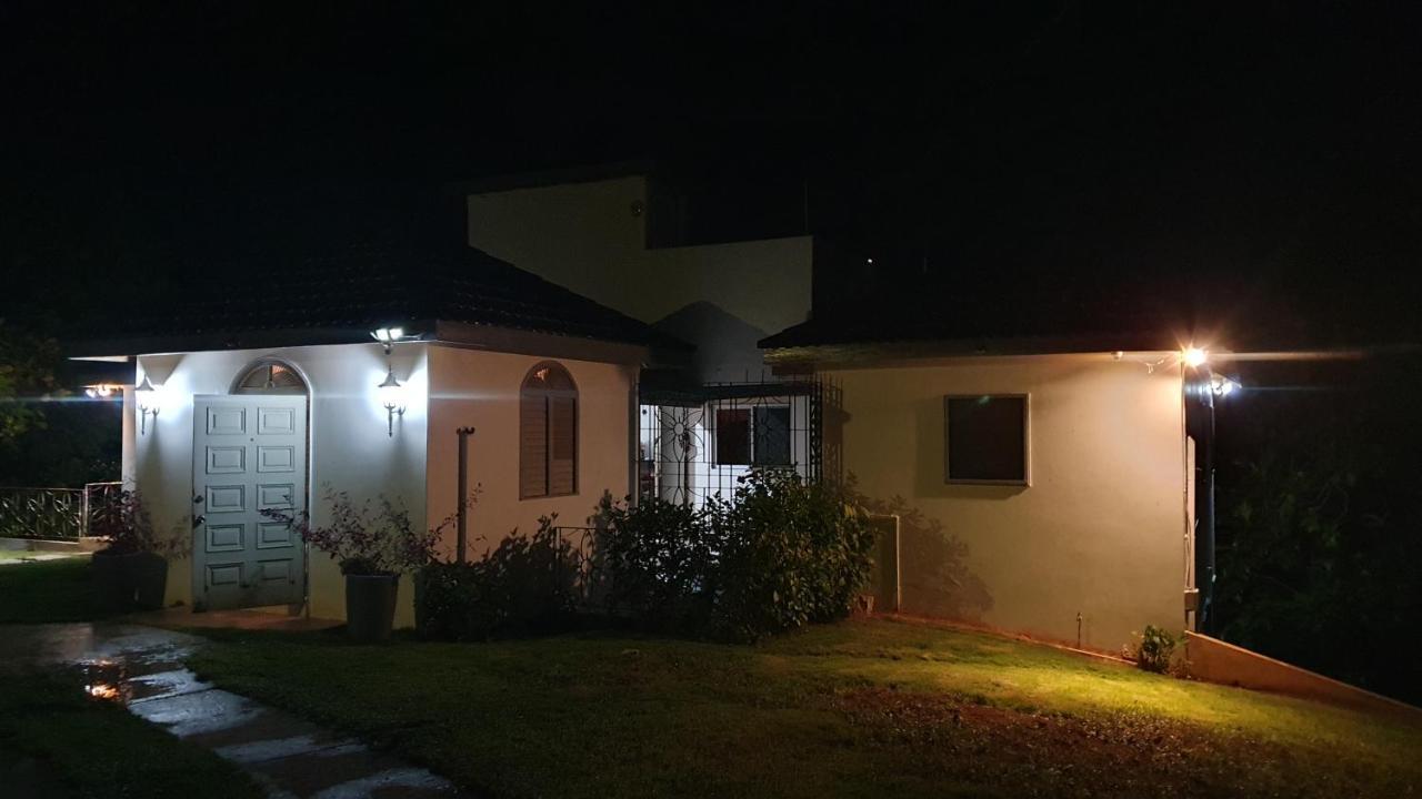 Dianna - Entire Villa, Roof Terrace, Pool, Garden, Sea Views Near Dunn's River Villa *