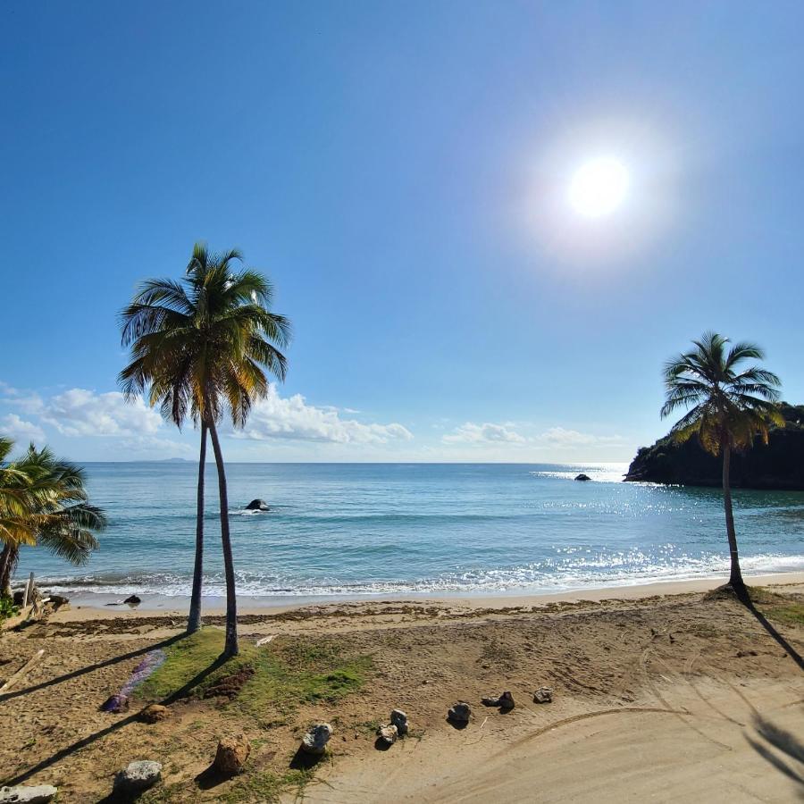 Hotel Palmas De Lucia 2*
