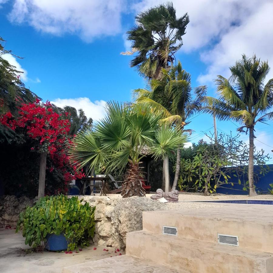 Aparthotel Caribbean Chillout Kralendijk (Bonaire)