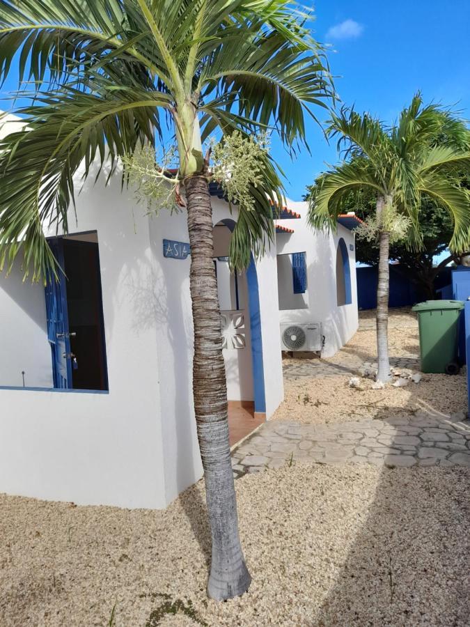 Caribbean Chillout 3* Kralendijk (Bonaire)