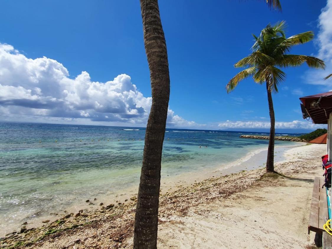 Martial Tropiques: Beachfront With Sea Views In Ste Anne