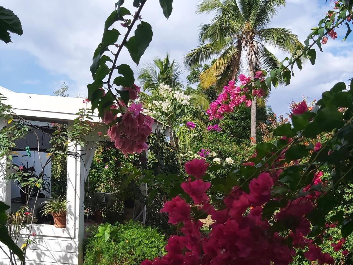 Guest house Le Biabiany Bouillante