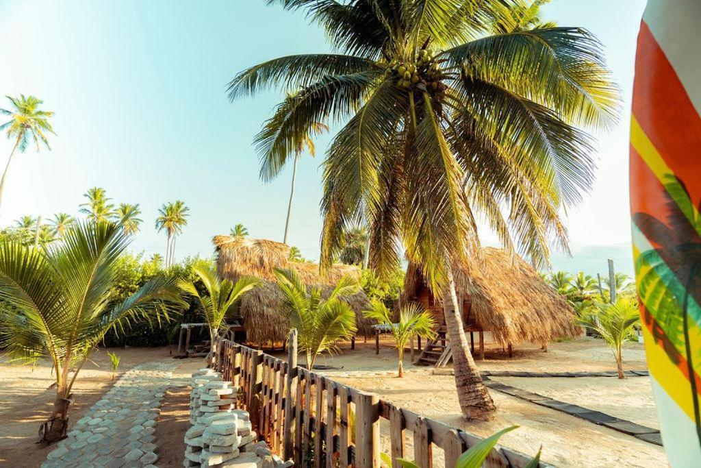 Puntacana Lavacama Costa Arrecife By Aa Crypto Group Punta Cana
