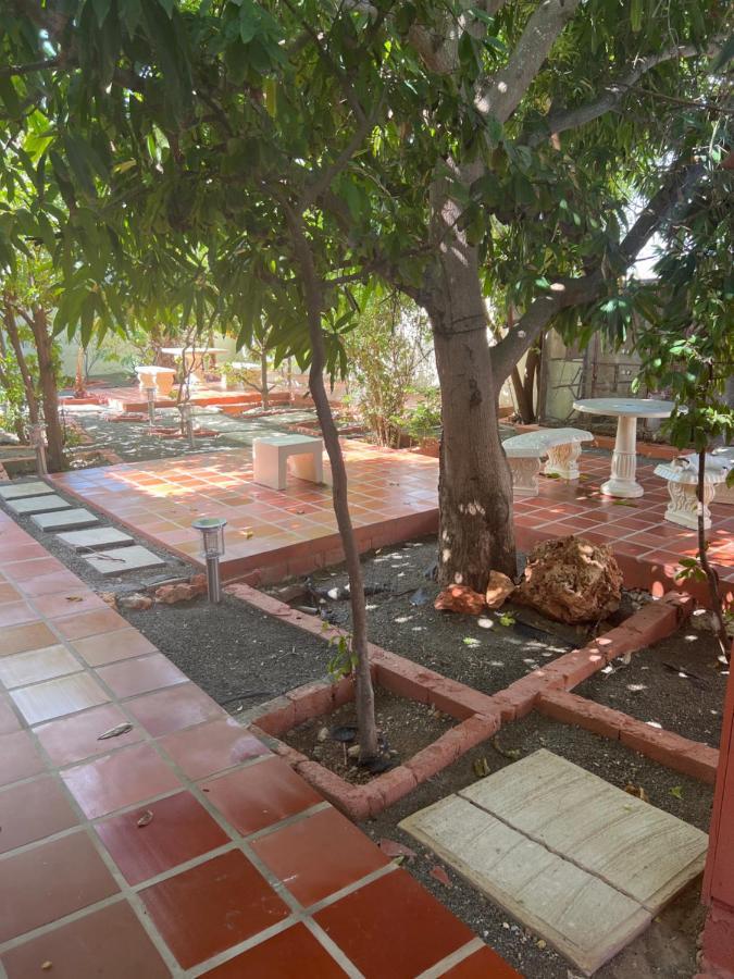 Curasita Colour Appartments & - Adres Kaya Sucre Nst 282