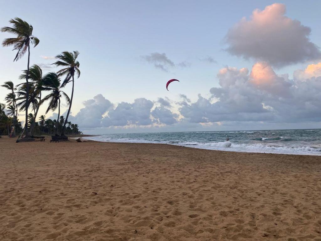 Maravilla Eco Boutique Surf Encuentro, Kite, By Aa Crypto Group