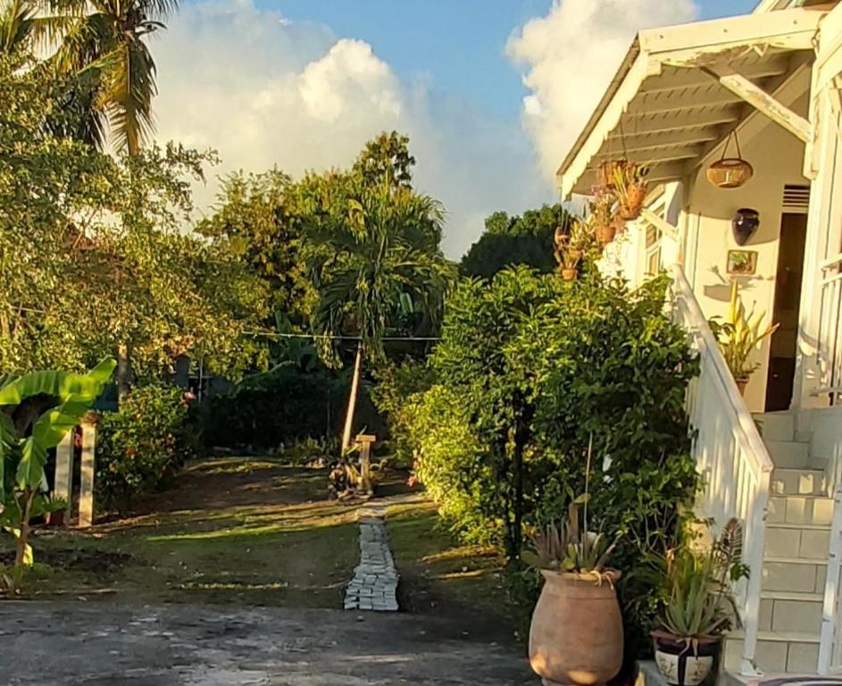 Guest house Le Biabiany