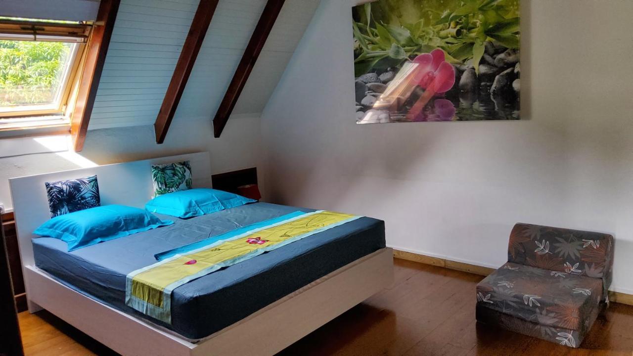Guest house Appartement Les Bougainvilliers Vue Mer Saint-Claude
