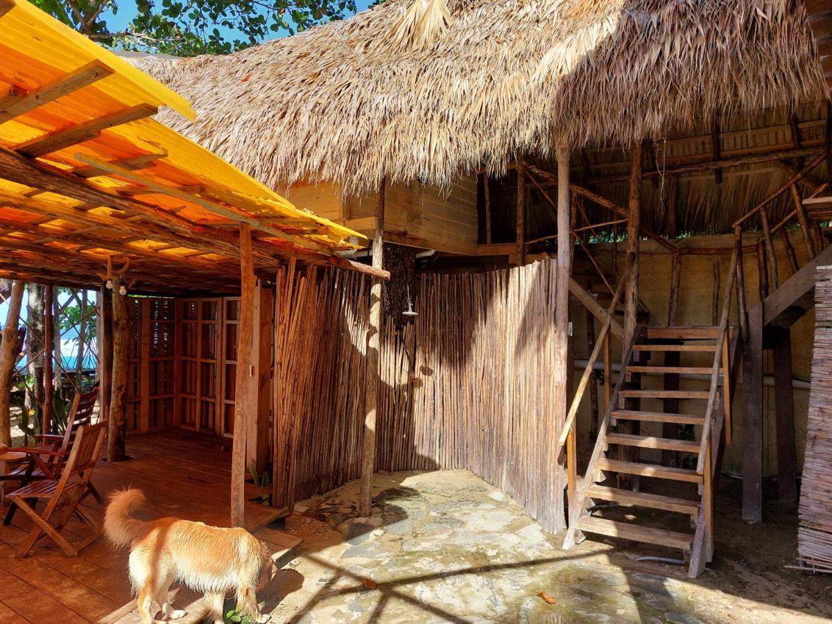 Hotel Maravilla Eco Boutique Surf Encuentro, Kite, By Aa Crypto Group Cabarete