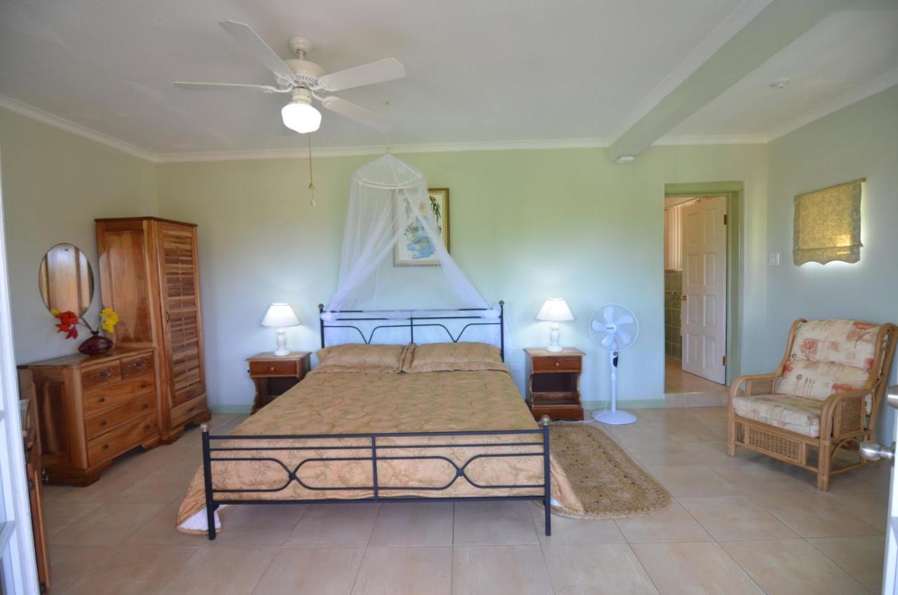 Pimento Port Antonio
