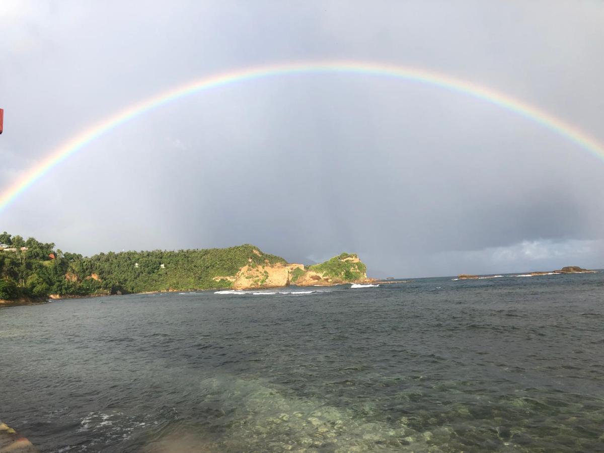 Rainbow &