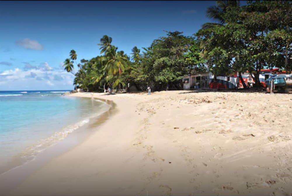 Lantana Barbados By Island Saint James
