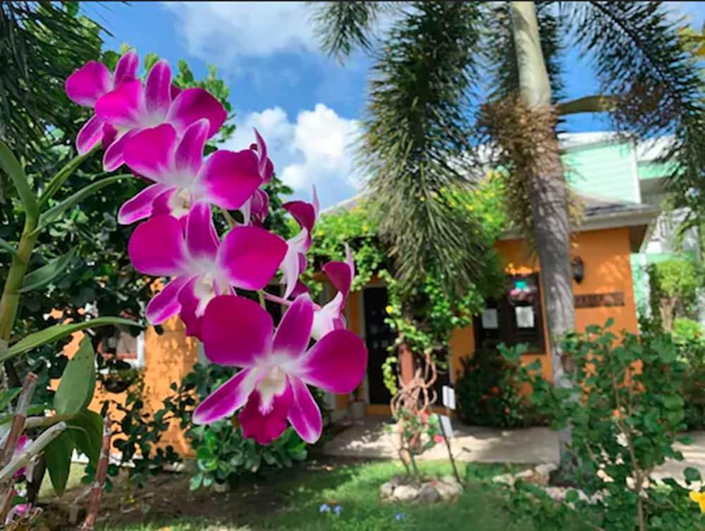 Buccaneer Club Aparthotel
