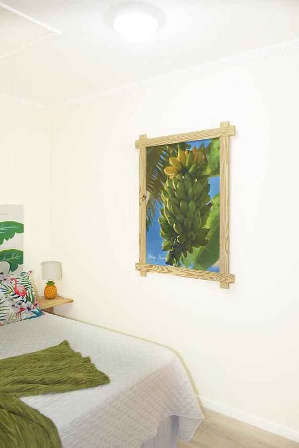Turquoise Bed & Breakfast