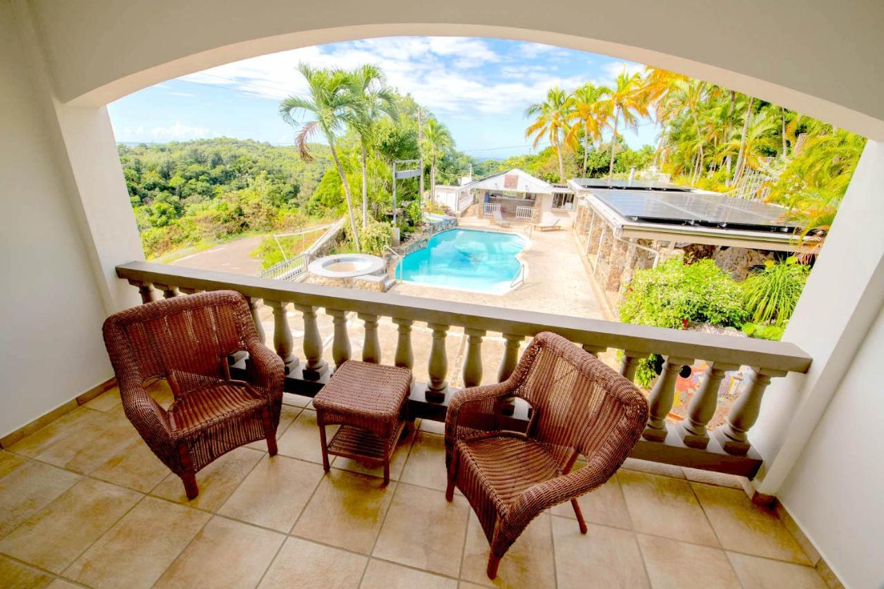 Lazy Parrot Hotel 3*