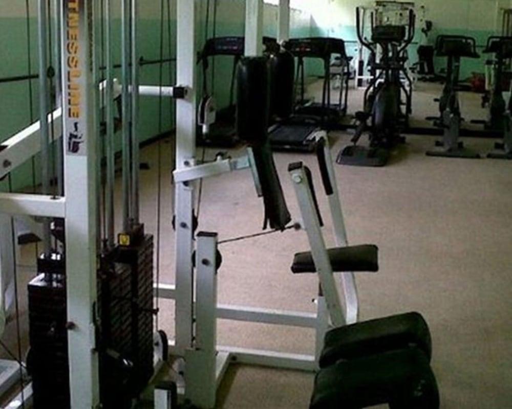 Hotel Shaw Park & 3*