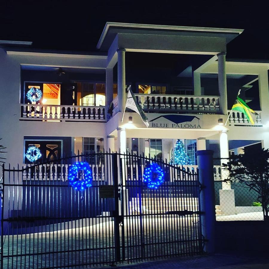 Acomodação com café da manhã  Blue Paloma *