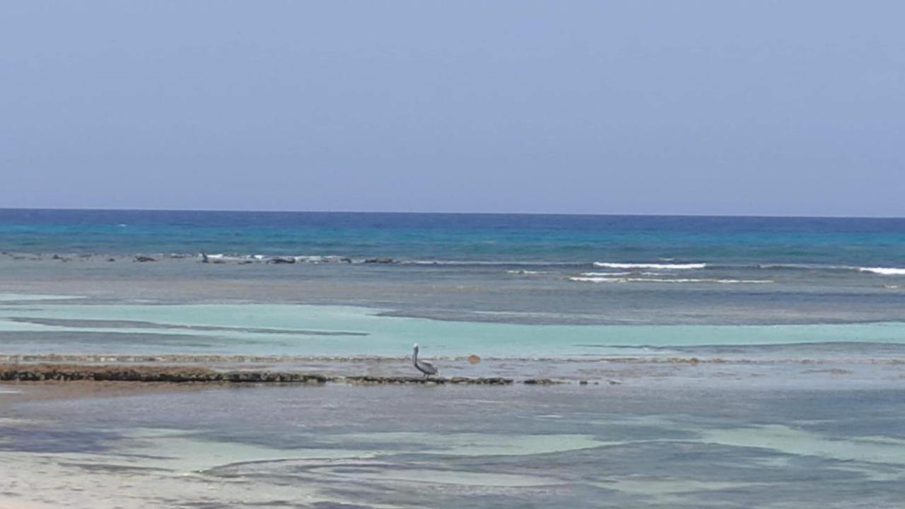 Apartment Nid Tropical Pour Deux