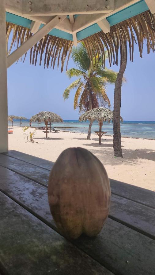 Nid Tropical Pour Deux * Saint-Francois (Grande-Terre)