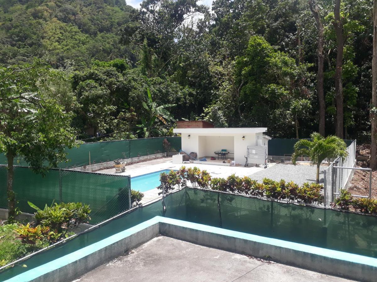 Amazon * Soufrière