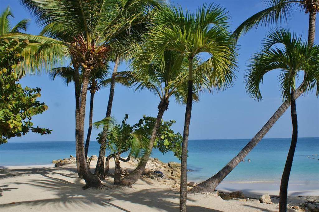 Siboney Beach Club St. John's
