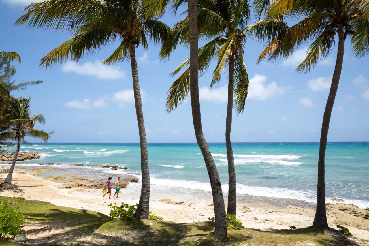 Resort Hyatt Zilara Rose Hall Adults Only