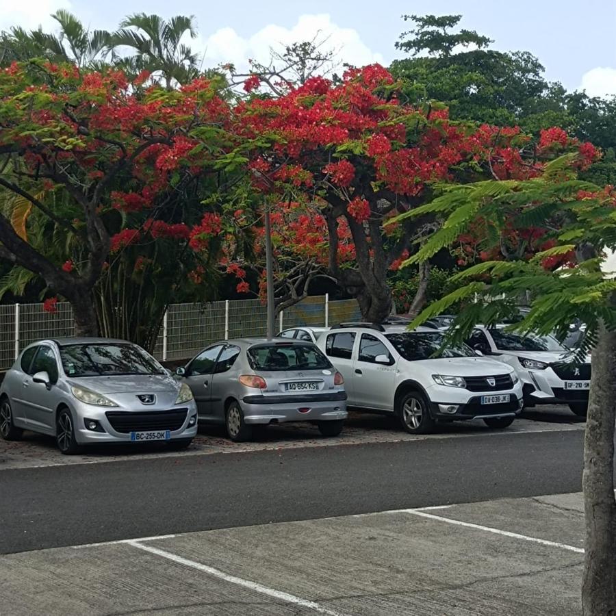 Hibiscus Le Kayela *