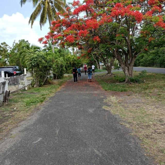 Hibiscus Le Kayela Apartment