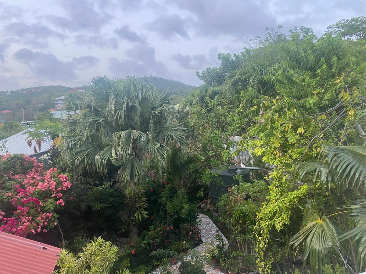 Chez Tata Et Didi * Grand-Bourg (Marie Galante)