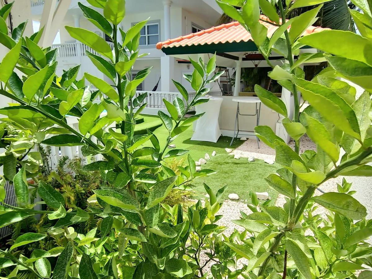 Adonai Boutique Hotel Willemstad
