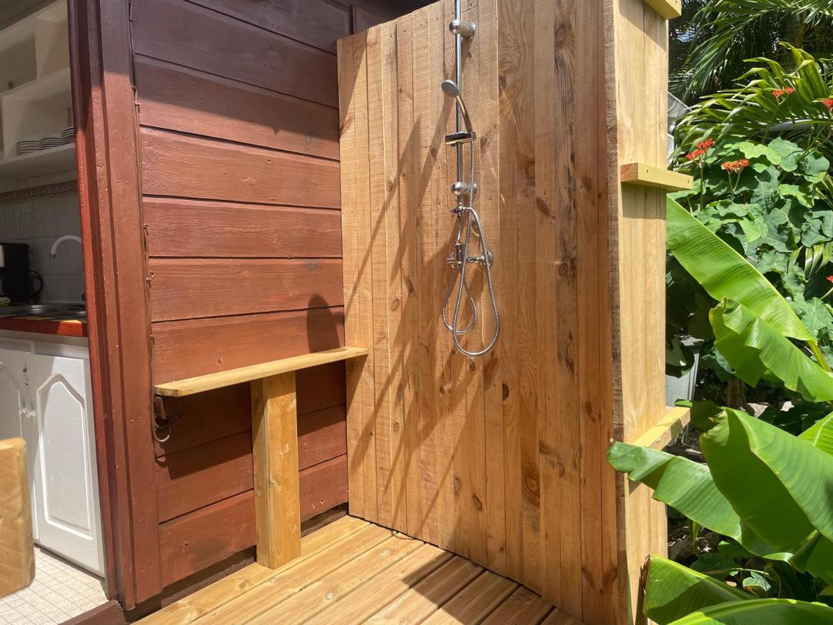 Dans Un Jardin Terre-De-Haut