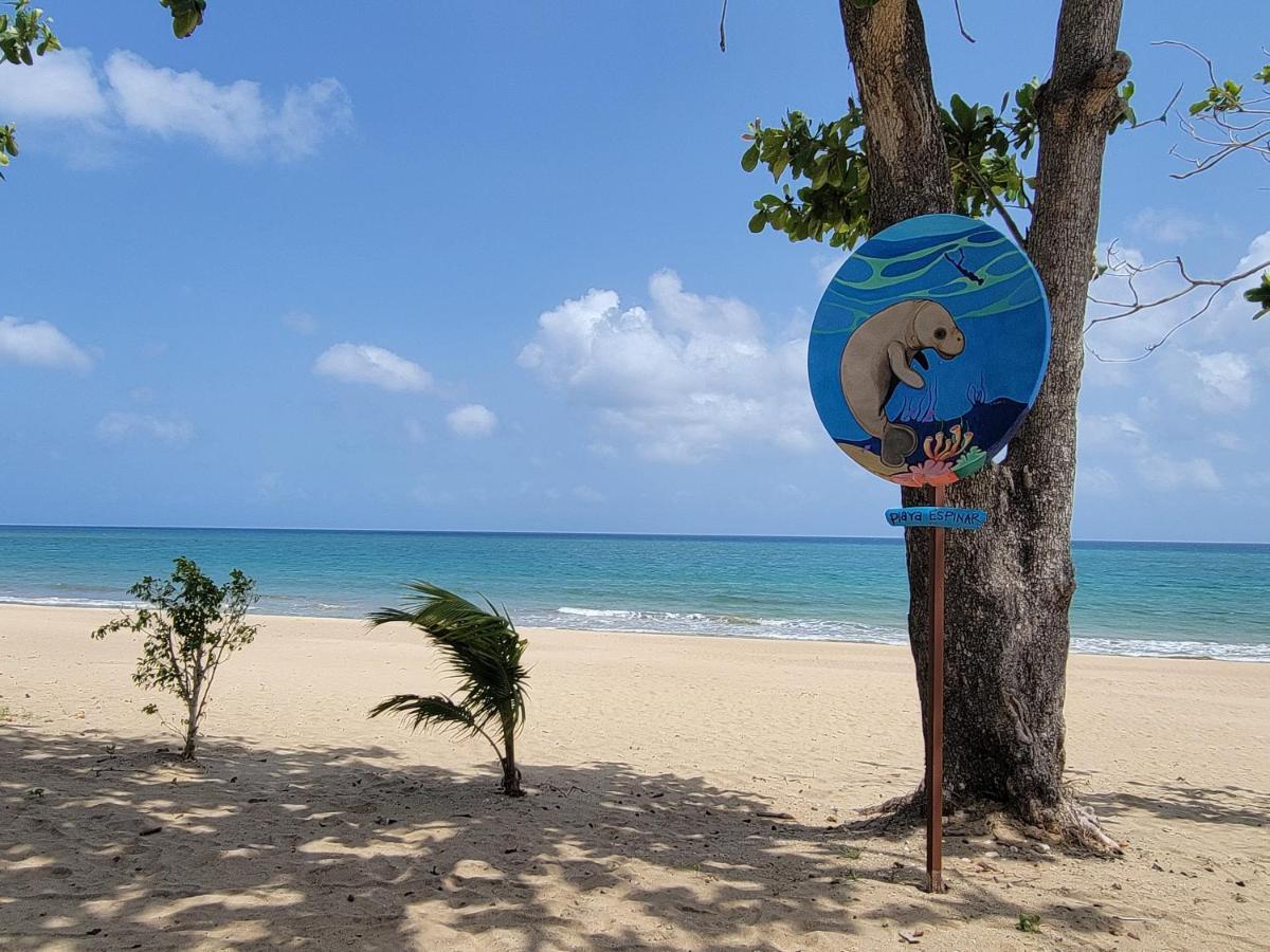 Of The Seas 2* Aguada