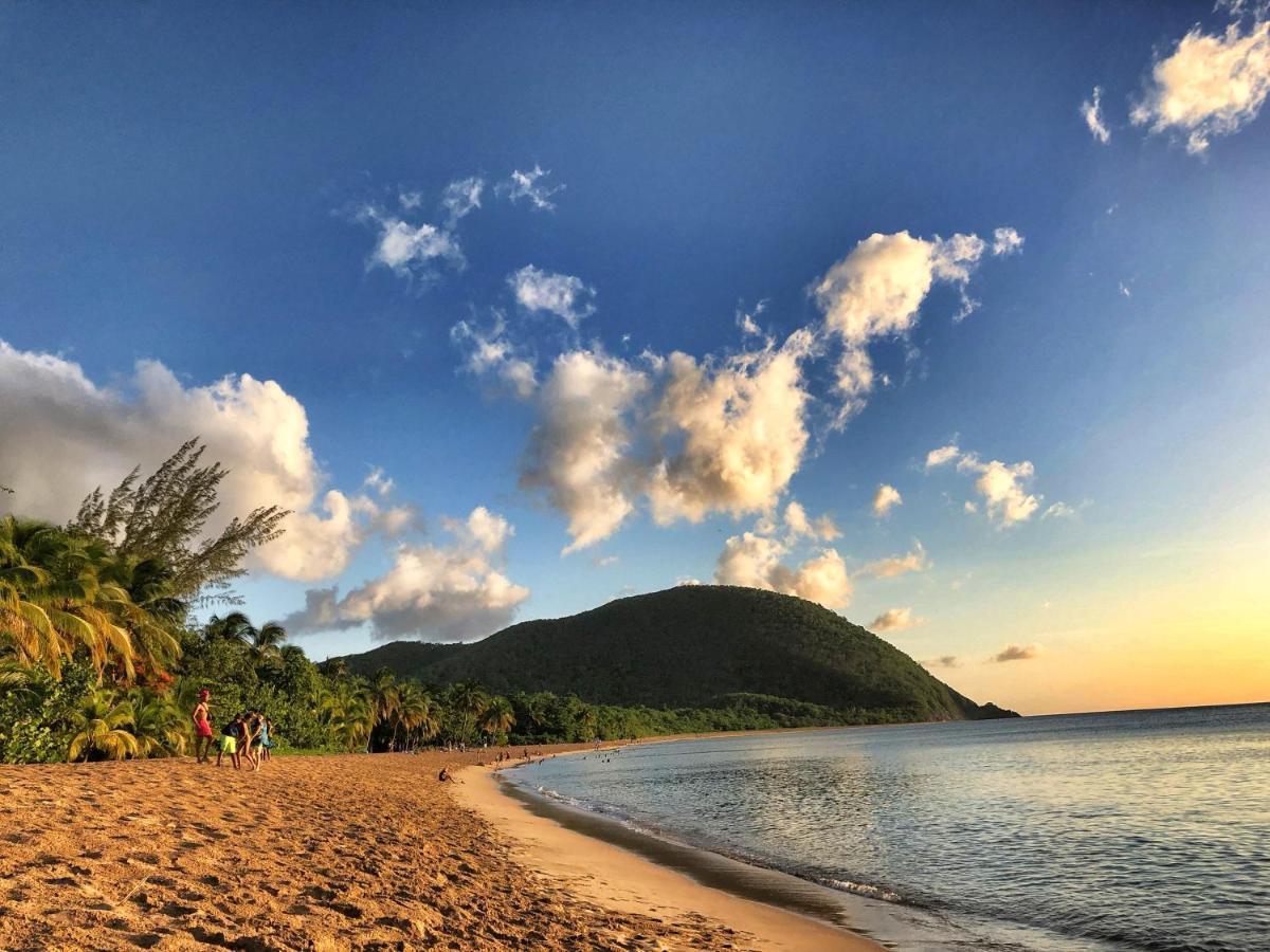 Guest house Le Surf Lodge, Avec Vue Dans Un Ecrin De Verdure *