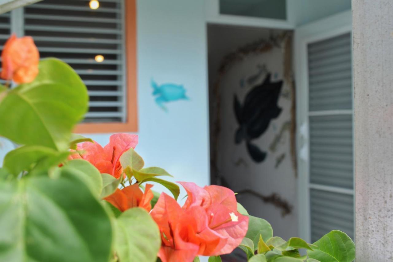 Luquillo Beach Hostel * Luquillo