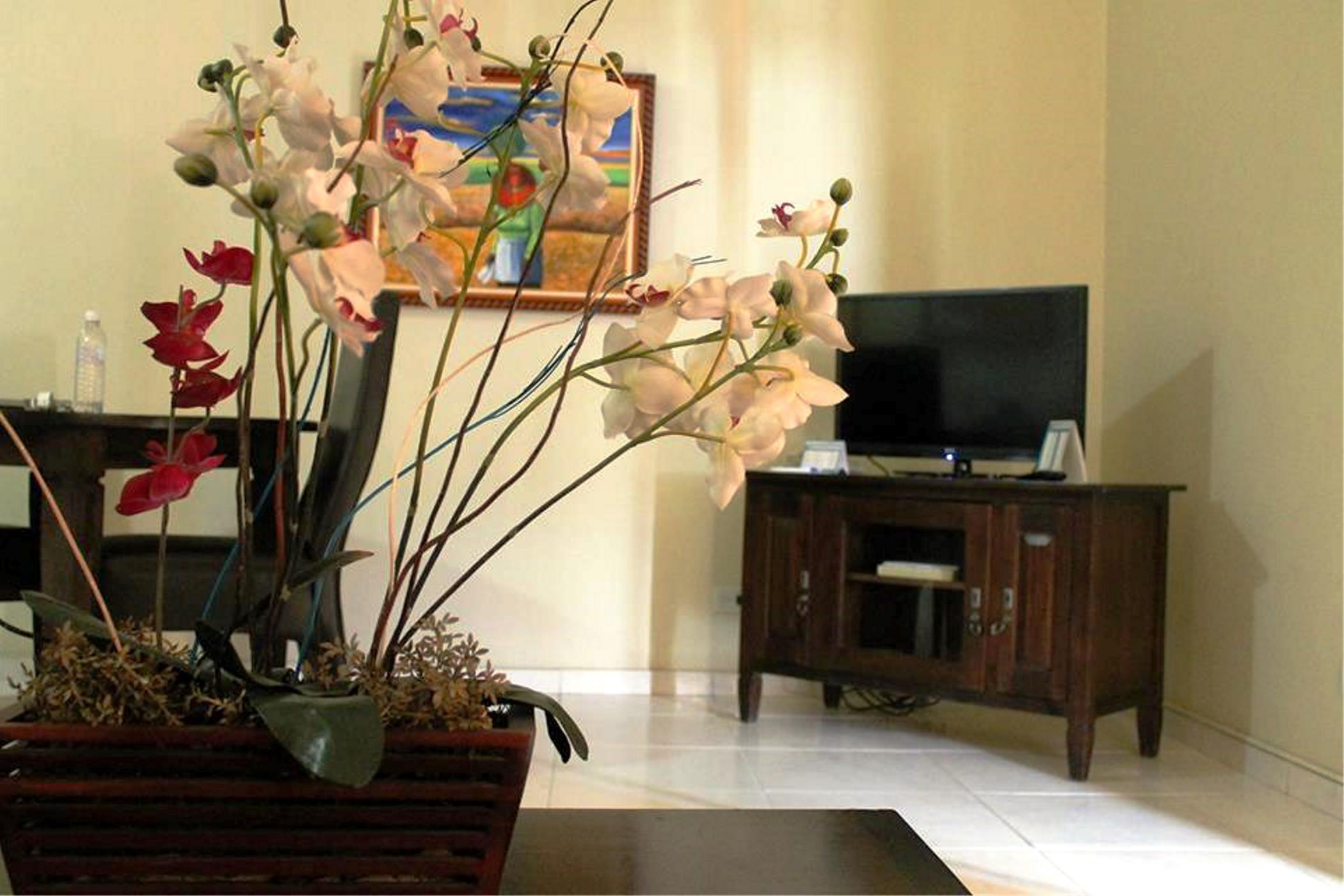 W&p Hotel Santo Domingo